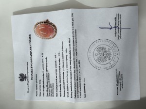 IMG_0701.jpeg