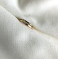 IMG_6842.jpg