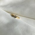 IMG_6845.jpg