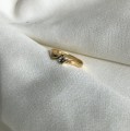 IMG_6846.jpg