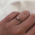 IMG_3104.jpg