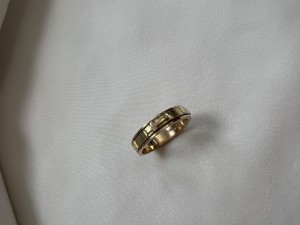 IMG_8355.jpg