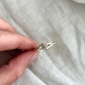 IMG_1076.jpg
