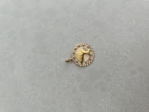 3FAA84AC-6589-4F3B-A09E-7E69C98174BB.jpeg